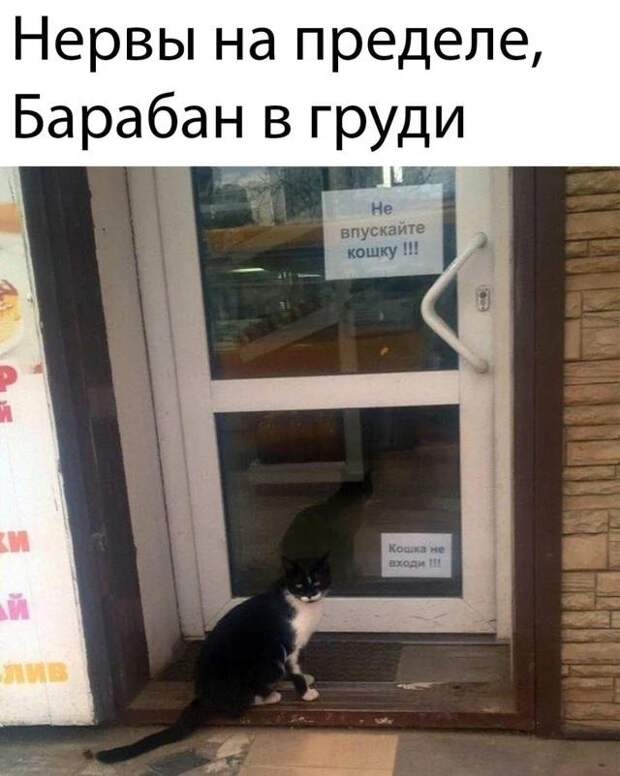 www.vsyako.net
