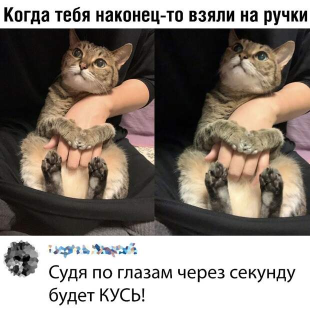 картинки с приколами 32
