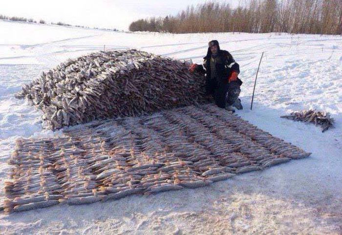 Фото, которые возможно было сделать только в России