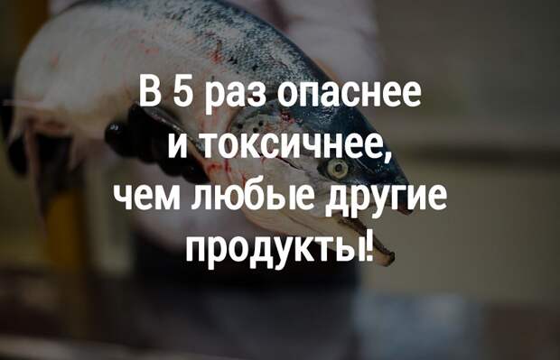 токсичная рыба