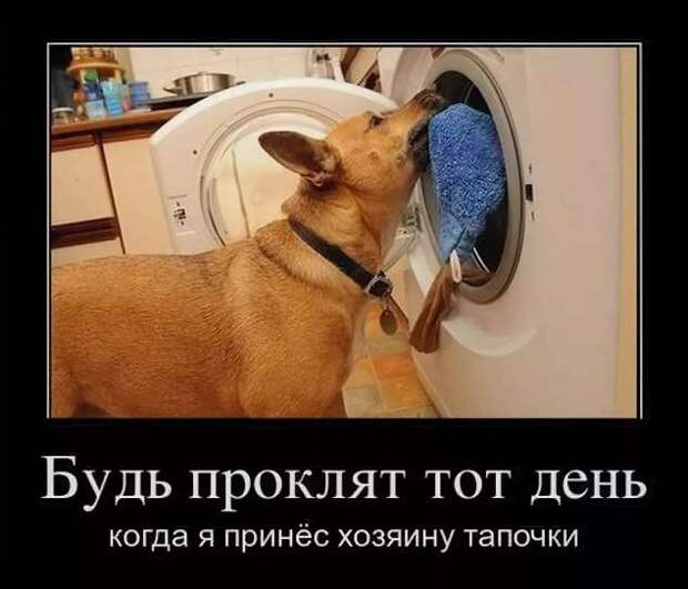Прикольные демотиваторы с надписями. Подборка chert-poberi-dem-chert-poberi-dem-09300614122020-13 картинка chert-poberi-dem-09300614122020-13