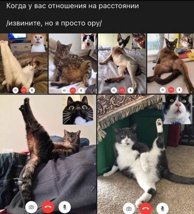 Приколы про современных девушек