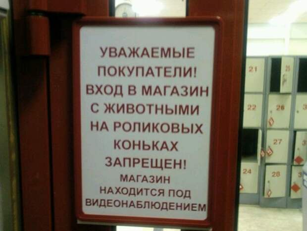Дружок, снимай коньки, в магазин заходим! запреты, картинки, прикол, фотографии