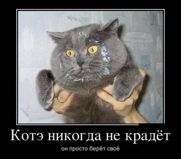 Веселые демотиваторы на субботу (10 фото) Веселые демотиваторы на субботу (10 фото)