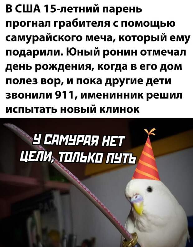 Смешные картинки 14 июля 2021