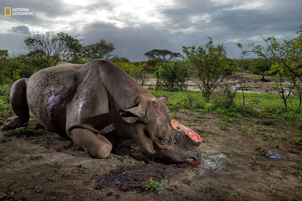 best-photos-2016-natgeo-national-geographic-88