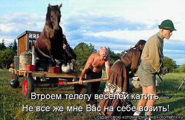 Лучшие котоматрицы недели (50 фото)