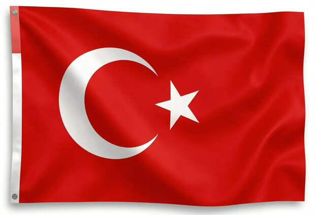 Перинчек хочет добиться выхода Турции из НАТО. Предложена альтернатива