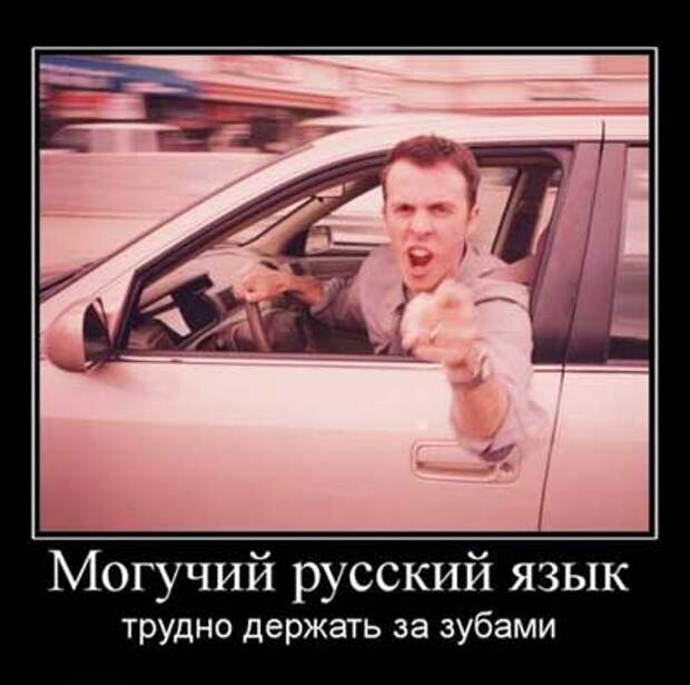 Демотиваторы про русский язык