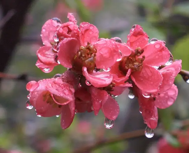 Ливни и сильный ветер: в Крыму на два дня объявили штормовое предупреждение