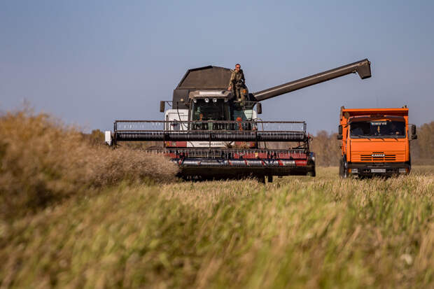 Режим ЧС введен в двух районах Новосибирской области по уборке урожая