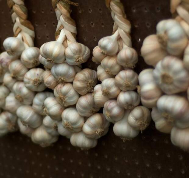 что не стоит есть на завтрак, продукты нельзя есть на голодный желудок