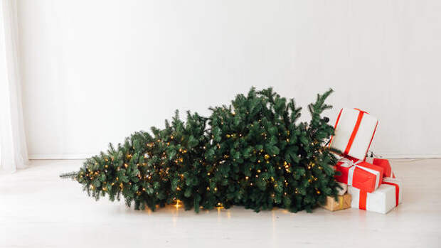 Названы две даты, когда нужно убрать новогоднюю елку — иначе придет беда