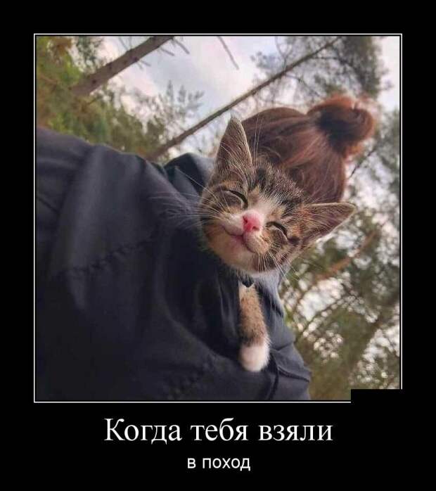 www.vsyako.net