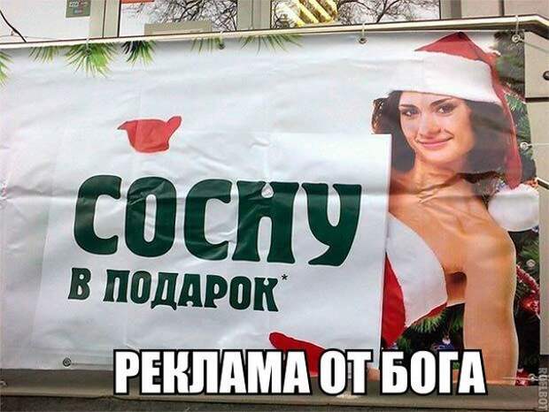 смешные картинки с надписями