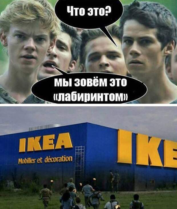 Новые прикольные фотомемы