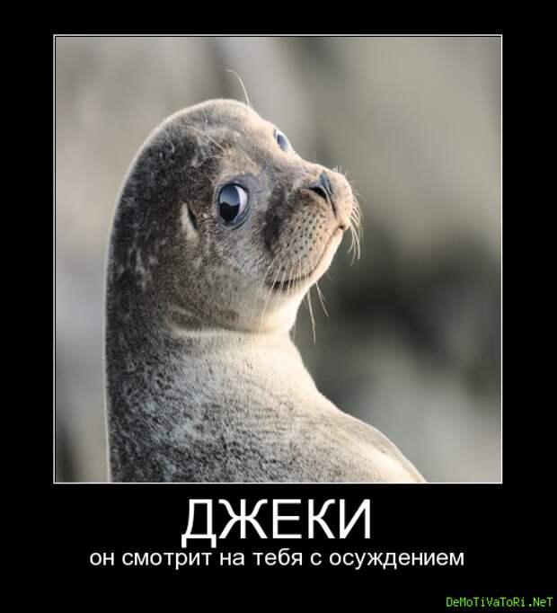 328aacdb8be30130377e546ee4a9594b