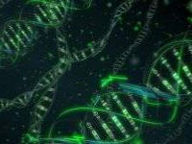 Расшифровка генома человека скоро будет завершена
