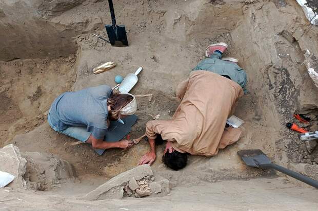 В Египте обнаружили крупное древнее сооружение возрастом более 2600 лет