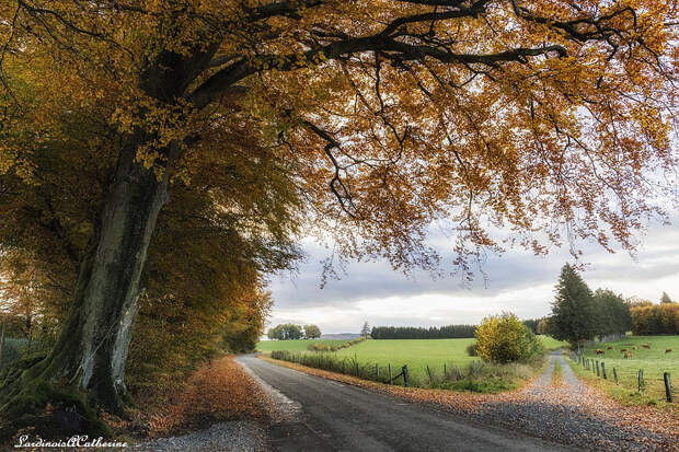 Energie d'automne by Anne-Catherine Lardinois on 500px.com