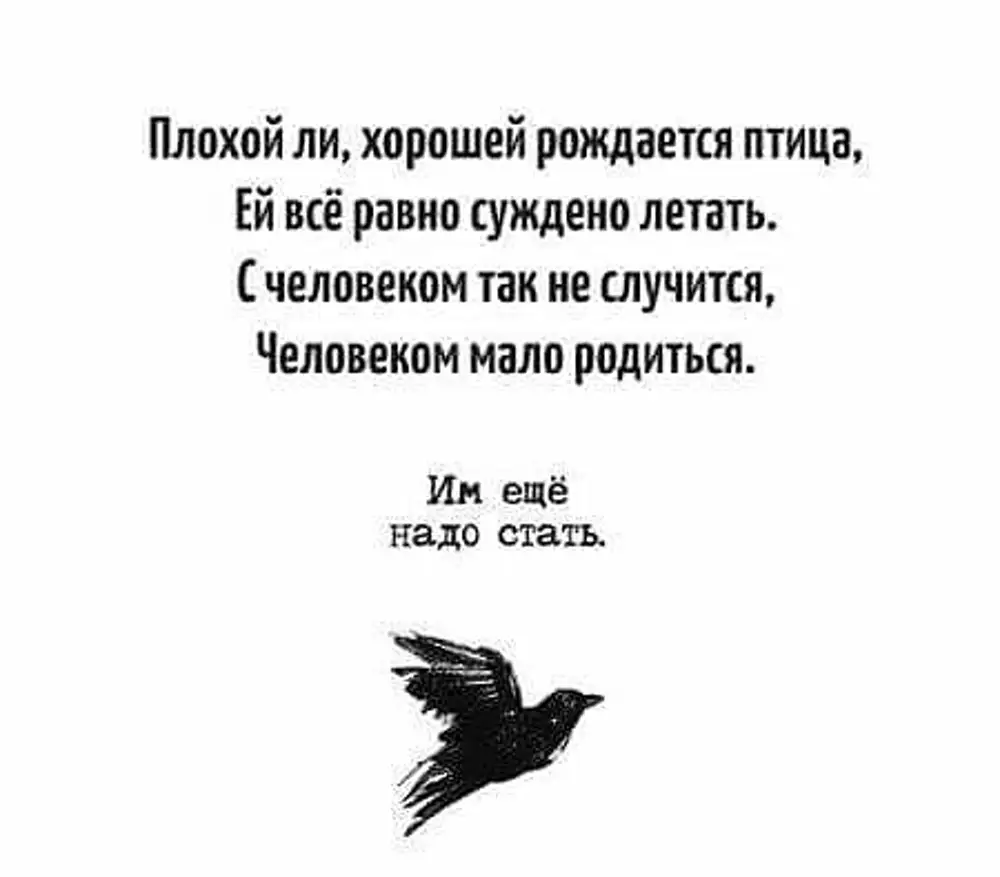 Цитаты про птиц. Плохой ли хорошей рождается птица. Афоризмы про птиц. Человеком мало родиться человеком надо стать.