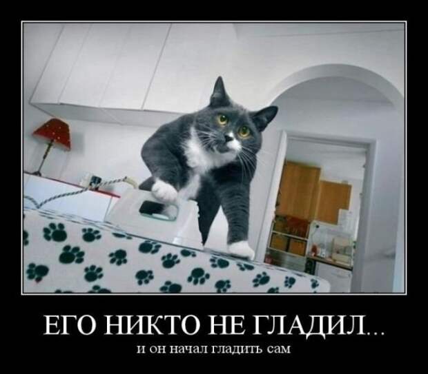 www.vsyako.net