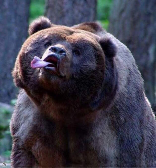 А мы милашки! 0