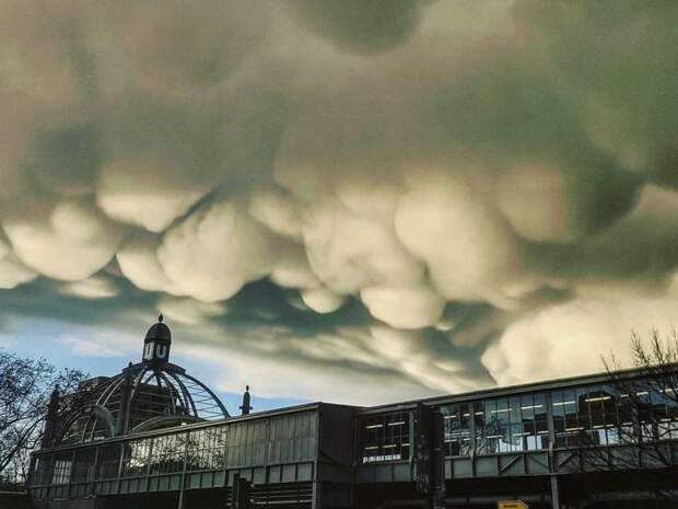 Необычные природные явления - Вымеобразные облака в небе над Берлином -  фото, видео — УНИАН