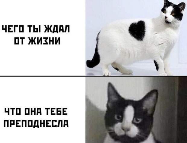 А ты чего ждал? )