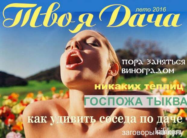 Русские приколы и маразмы (50 фото)