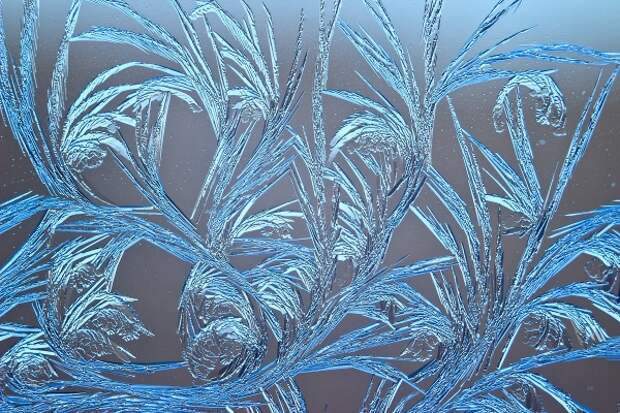 Морозная красота: ледяное искусство природы
