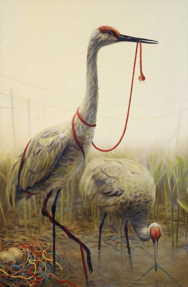 Сюрреалистические картины от Martin Wittfooth
