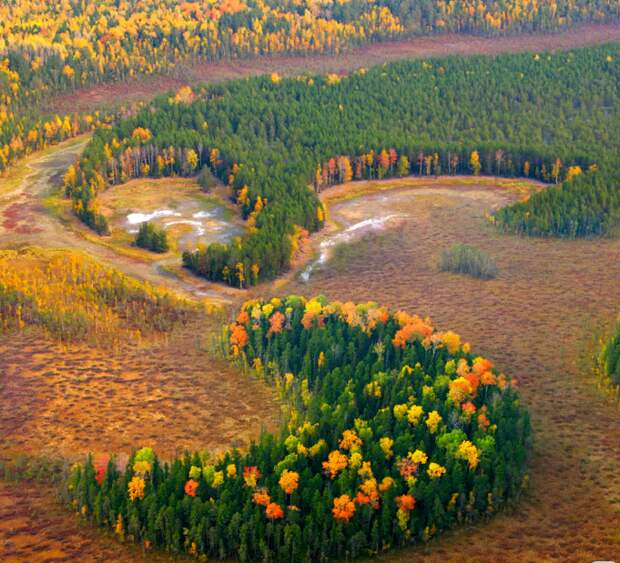 Урманы Сибири - Источник -https://cdn.photosight.ru/img/0/88e/3969663_large.jpeg