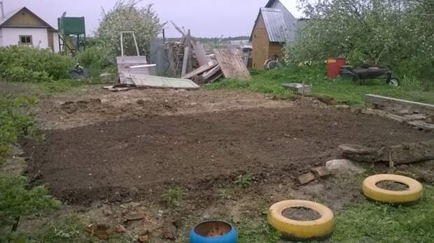 Как я первый раз табак растил Табак. Садоводство., своими руками, сделай сам