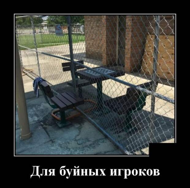 Демотиваторы (30 фото)