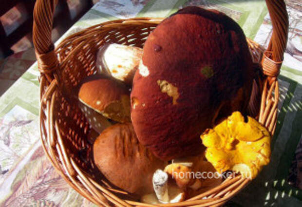 Пирожки с грибами Griby 300x206 Пирожки с грибами
