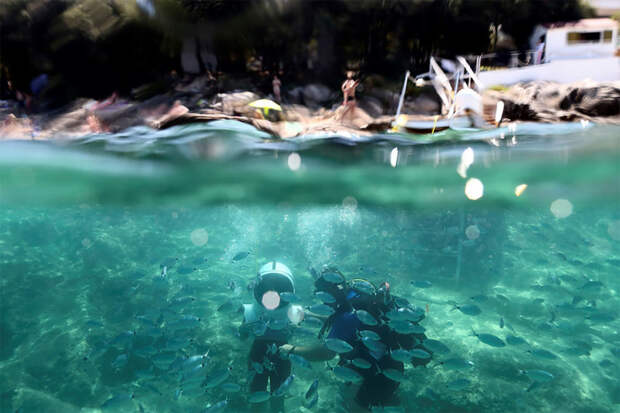 Уникальные чудеса подводного парка в Хорватии, по которому можно гулять пешком красота, парк, под водой, удивительно, хорватия