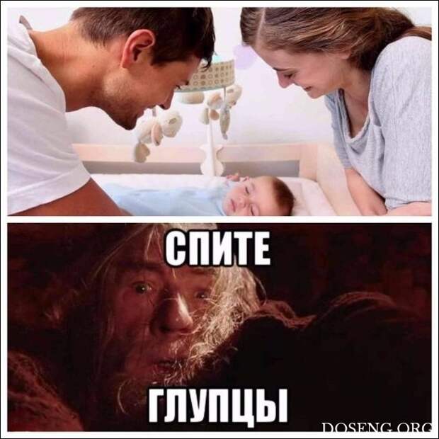 Прикольные картинки