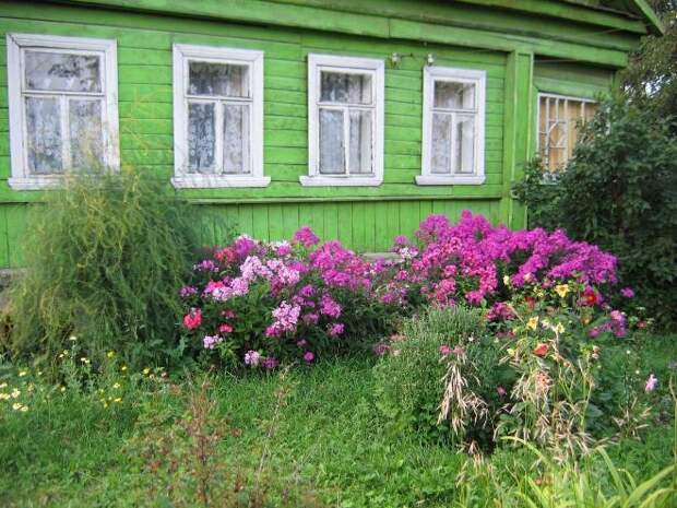 Палисадник перед домом: размер, стиль, выбор растений (80 фото)