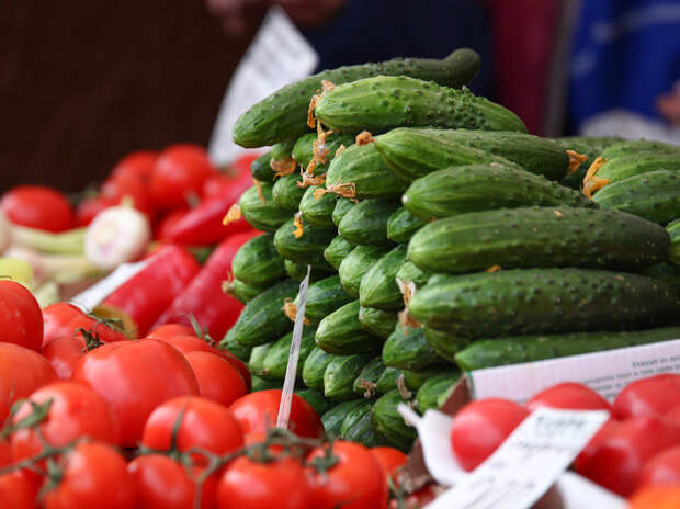 Огурцы признаны самым подешевевшим продуктом в России за апрель