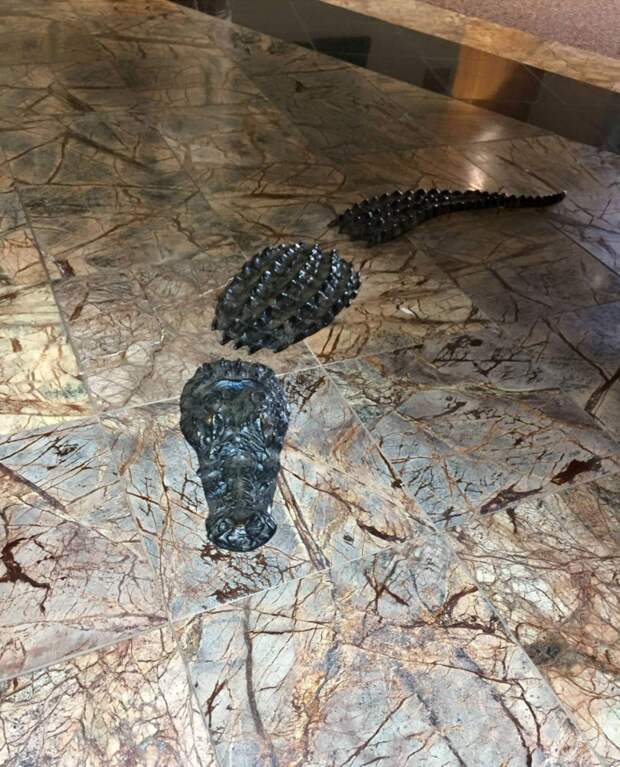Аллигатор в полу вестибюля