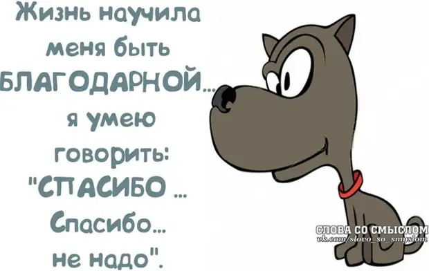 Я то умею а ты. Я умею быть благодарным. Научите меня улыбаться. Жизнь научила меня. Жизнь научила меня говорить спасибо и спасибо, не надо.