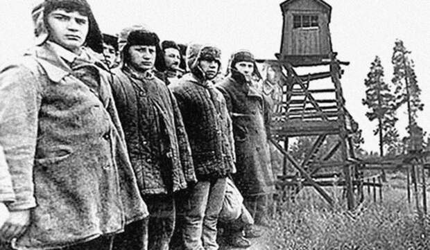 Как бывшие фронтовики "строили" "воров в законе". Судьба фронтовиков попавших на зону