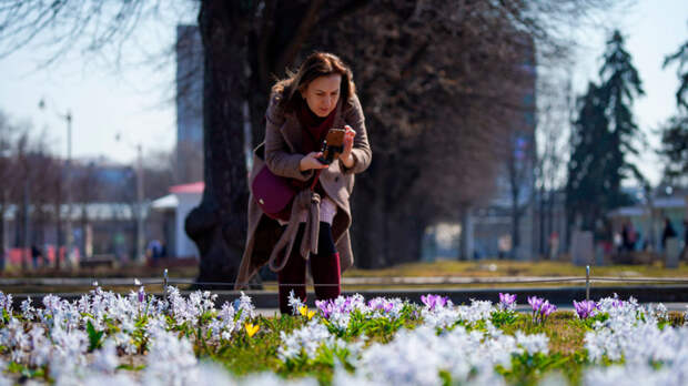 Когда в Москве исчезнут сугробы, рассказал синоптик