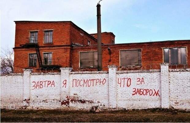 Приколы
