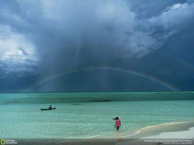 Победители конкурса фотографии National Geographic (11 фото)