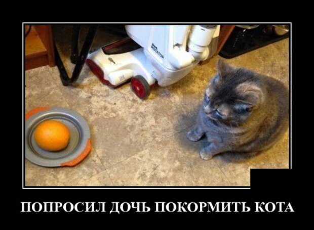 Демотиваторы (30 фото)