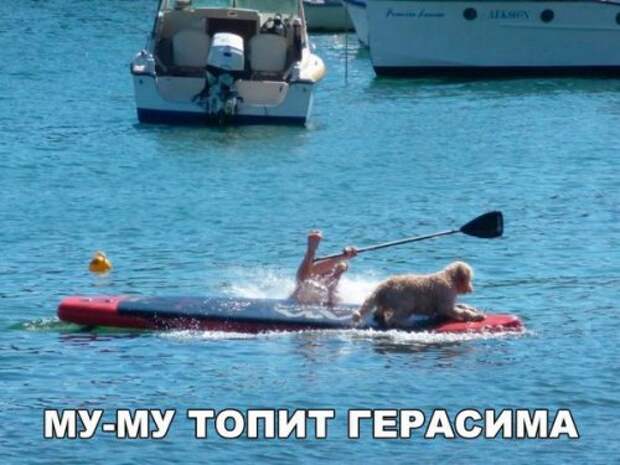 Новые фотомемы на Бугаге (23 шт)