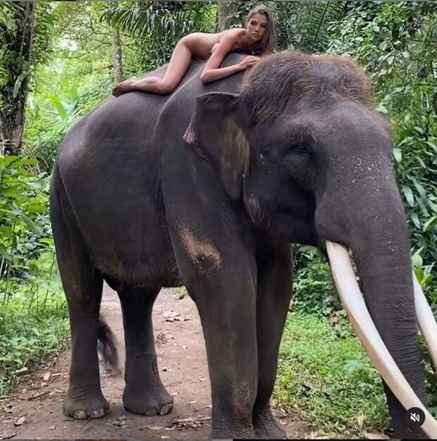 22-летняя модель снялась обнаженной на слоне. Фото: кадр видео.