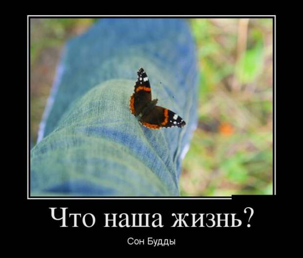 Демотиваторы (30 фото)